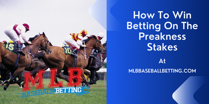How To Win Betting On The Preakness Stakes